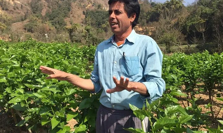 Silkworm Farm (Sericulture) Day Visit With Easy Hiking In Pokhara