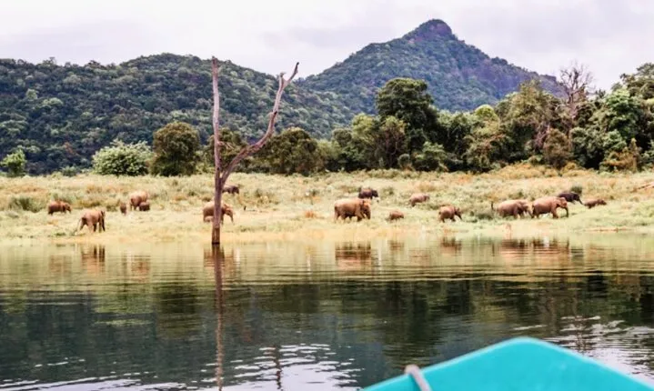 Private Jeep Safari to Galoya National Park From Sigiriya