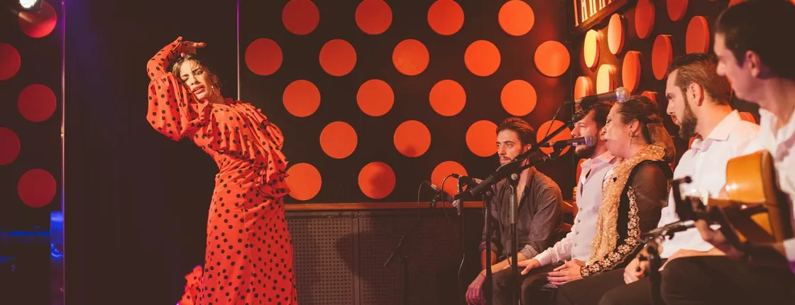 Flamenco show and tapas dinner