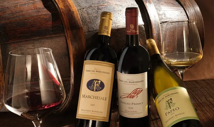 Bolgheri: Classic Wine Tasting with Winery Tour