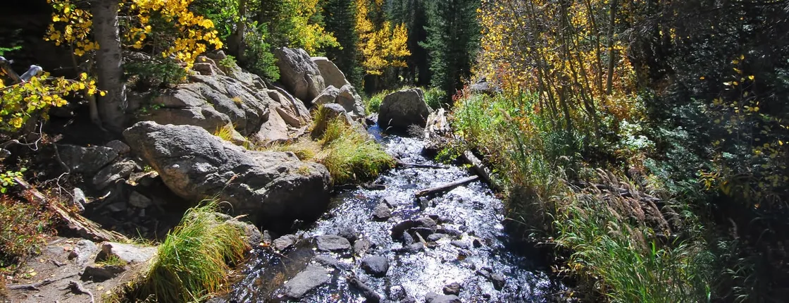 Ultimate Rocky Mountain National Park Self-Guided Driving Tour