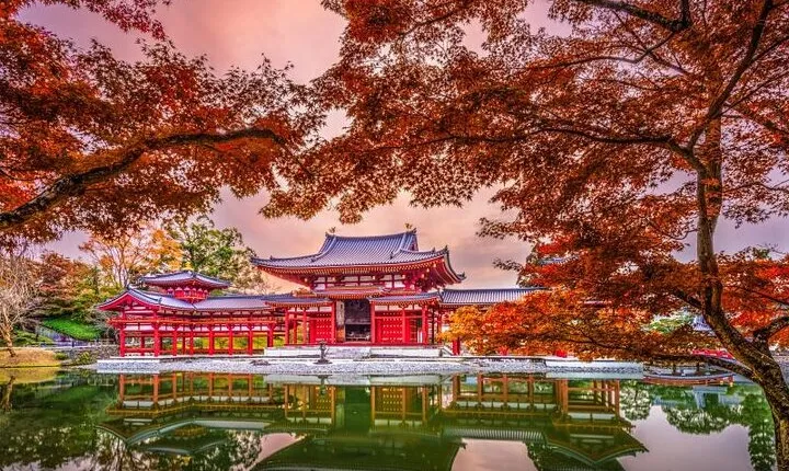 Ontabi Kyoto Uji One Day Tour