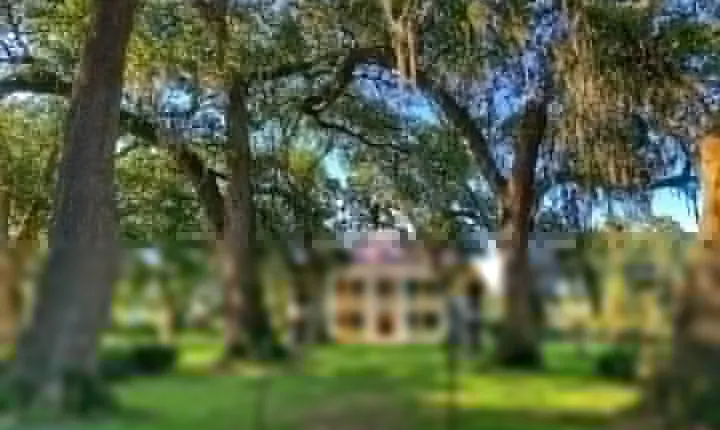 Houmas House Plantation Guided Tour