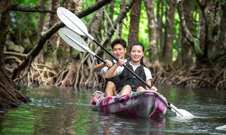 [Ishigaki]Mangrove SUP/Canoe Tour
