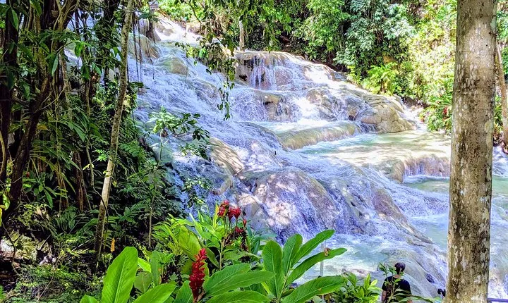 Private Ocho Rios highlight tour