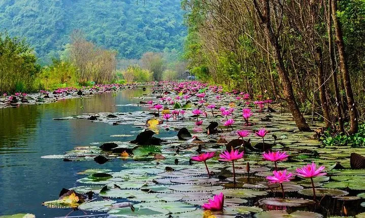 Perfume Pagoda Full day trip