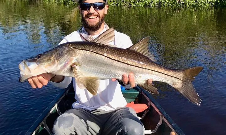 Everglades Fishing
