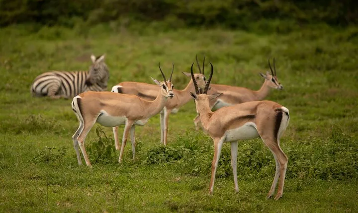 3 Days Private Budget Camping Tour