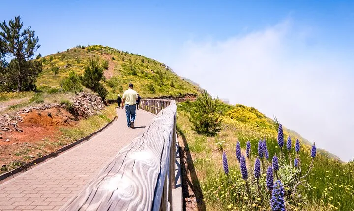 East of Madeira | Full Day 4x4 Tour