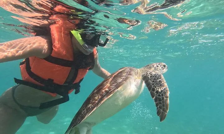 Private Snorkeling with Sea Turtles in Akumal Beach