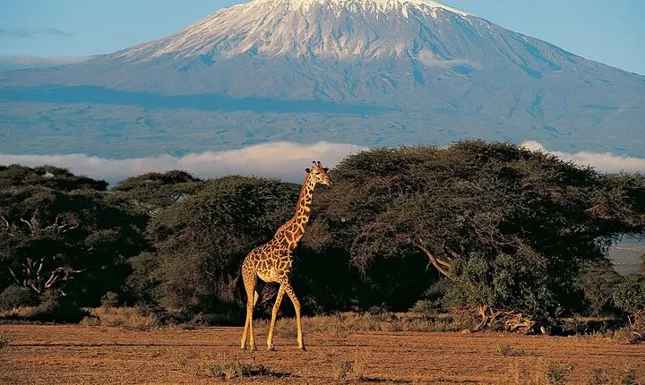 Climbing Mount Kilimanjaro Machame route - 7 days tour
