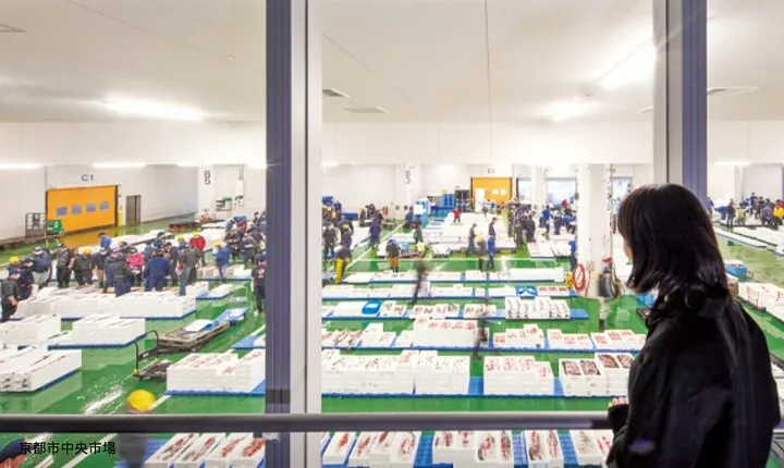 Kyoto Wholesale Fish Market Walking Tour