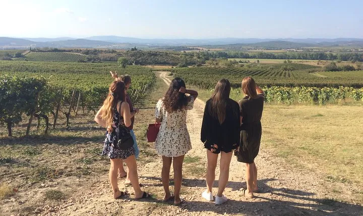 Cité de Carcassonne and Wine Tasting Private Day Tour from Toulouse