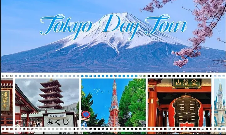 Tokyo Customizable Private Tour with Private Driver（10 hours)