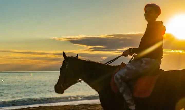 Antalya Horse Riding On Beach And Through The Forests For 2 Hours