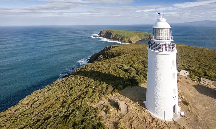Bruny Island Food, Sightseeing, Guided Lighthouse Tour & Lunch 