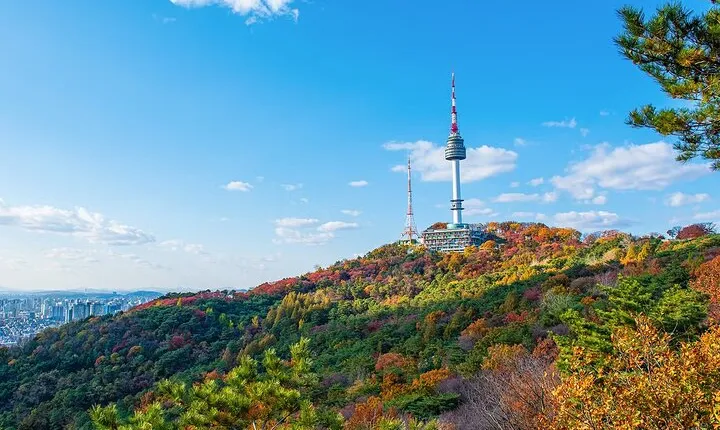 N Seoul Observation Tower Entry Ticket