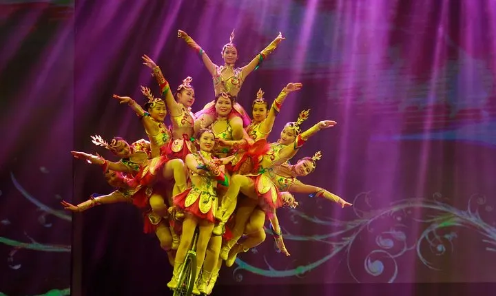 Acrobatics Show with Private Driver Service Include Hotel Pick-up and Drop-off