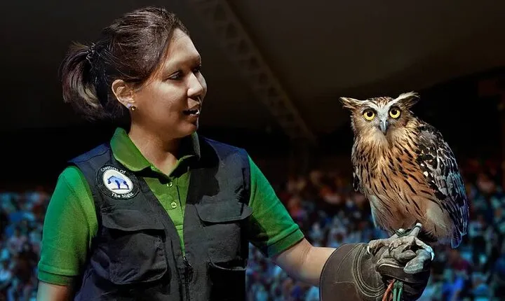 Night Safari Entry Ticket at Mandai Wildlife Reserve Singapore