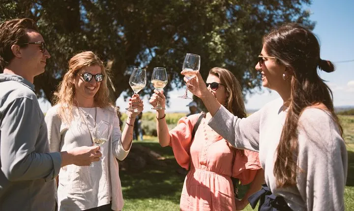 Premium Vineyard Tour & Tasting