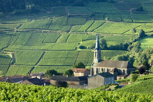 Unique Burgundy Wine tour from your hotel in Paris