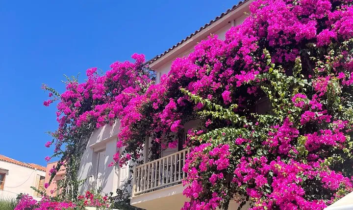 Private Tour-West Crete-Chania+Rethimnon Old Towns From Heraklion