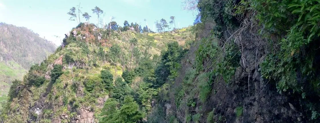 Levada do Moinho guided walk from the west