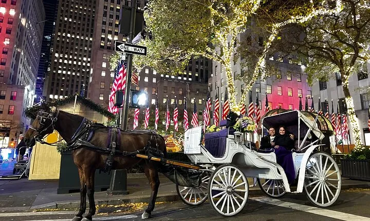 Luxury Horse and Carriage Rockefeller and Christmas lights tour