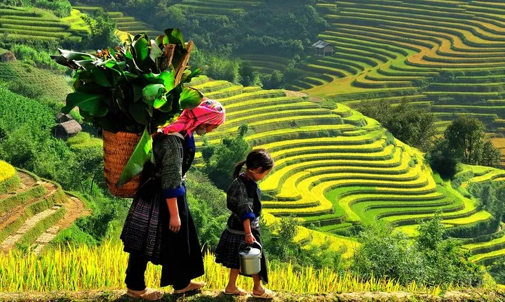 Sa Pa 2-Day Moderate Trek and Homestay Limousine Tour from Hanoi