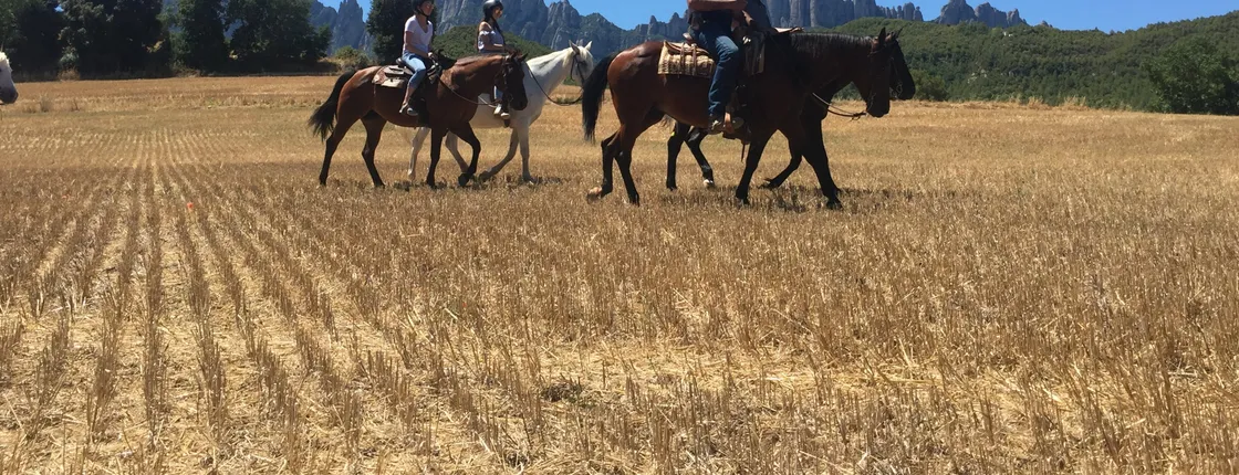 Montserrat hiking and horse riding experience from Barcelona