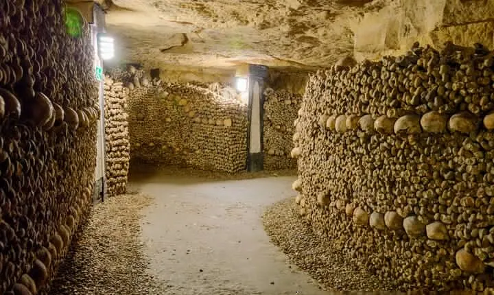 Paris Catacombs Ticket and Seine River Cruise