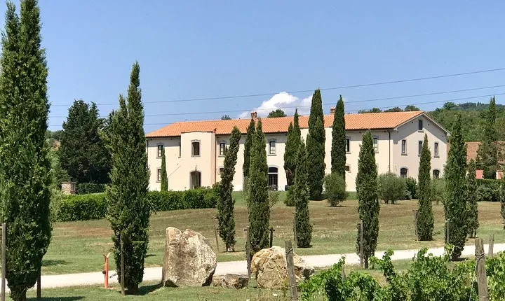 Fertuna On The Terrace