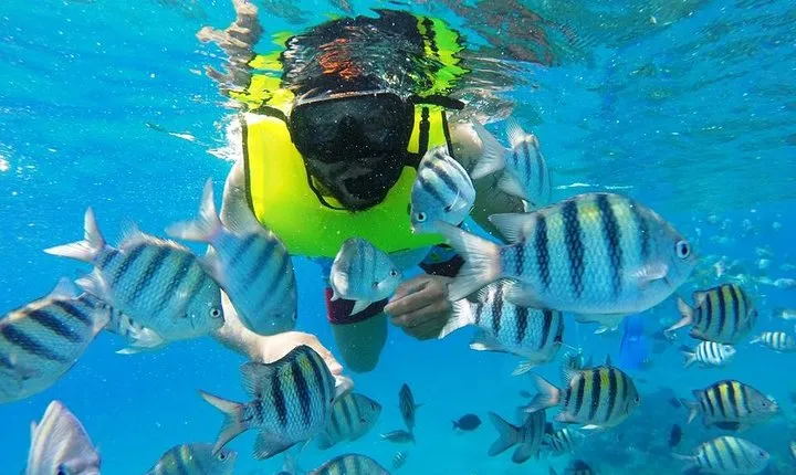 Discover Sosua's Underwater World & Beach Day