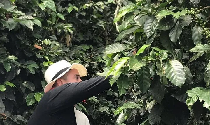 Coffee Tour - All inclusive - Medellín