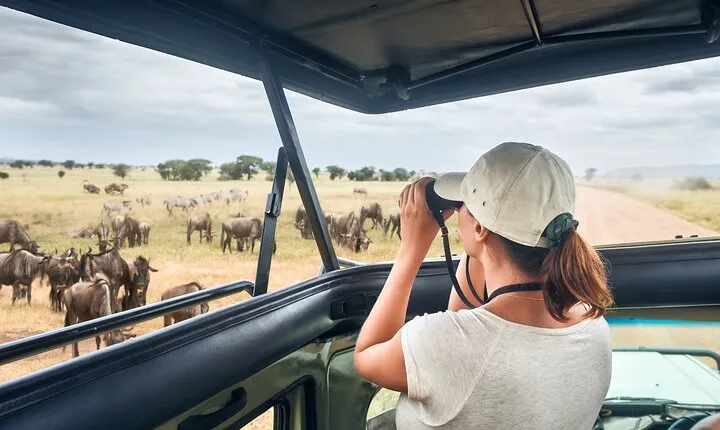 4 Days Private Lodge Safari Tour Tanzania