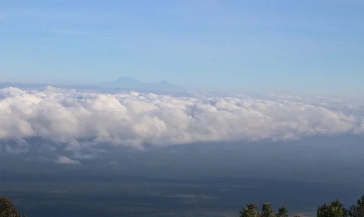 4 Day Mtae Trek Explore Usambara Mountains and Local Culture