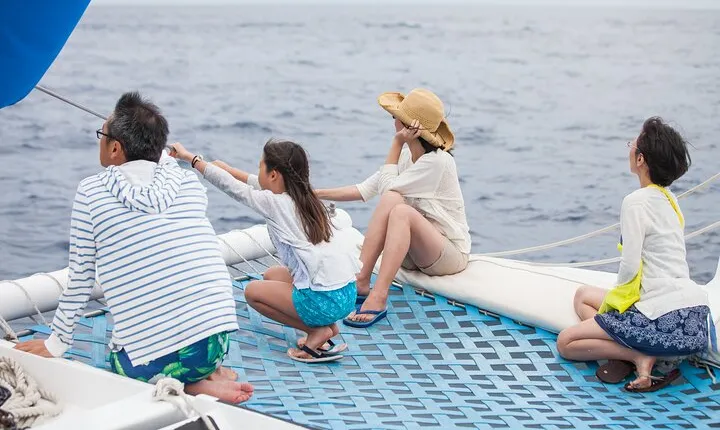 Whale Watching Amazing Adventure