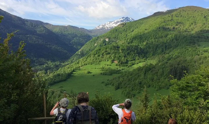 Day Tour to Mirepoix, Montségur, Camon. Private tour from Carcassonne