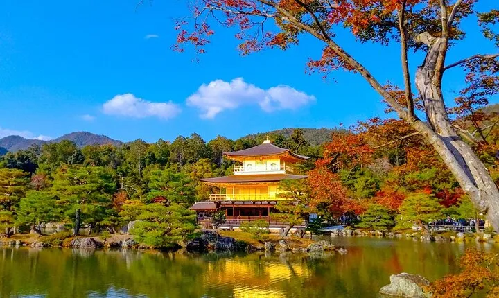 Private Kyoto Day Trip with English Driver(guide optional)