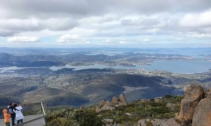 Mt Wellington Afternoon Small Group Driving Tour