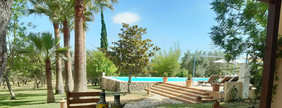 Majorca Olive Oil Tasting Tour