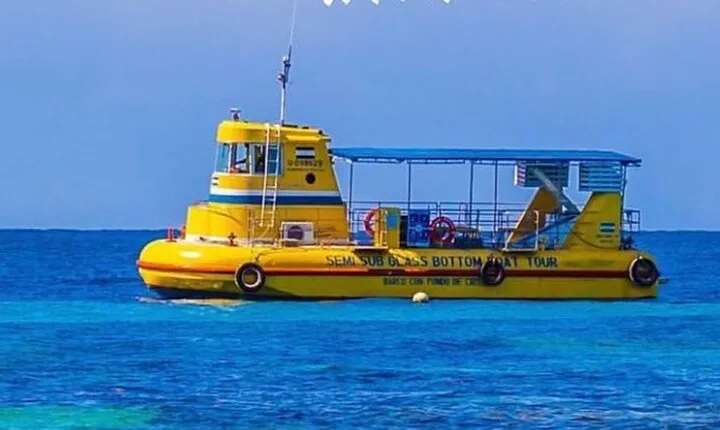 Roatan Zip Line, Wildlife, & Glass Bottom Boat Tour Combo