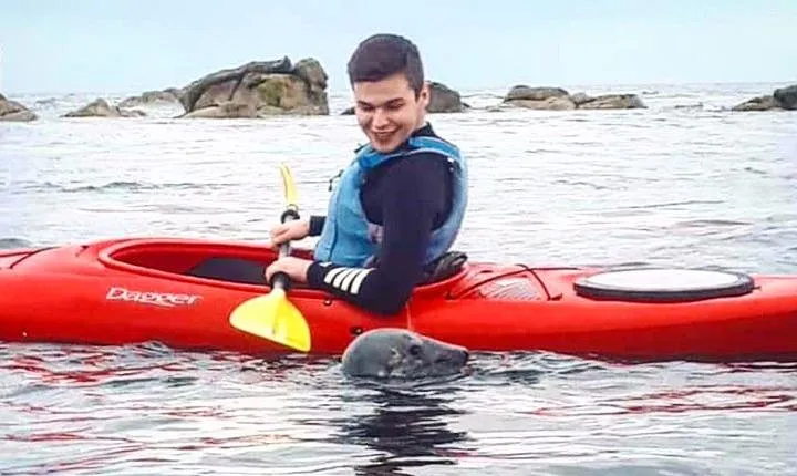 Dublin Bay Seal Kayaking Safari at Dalkey