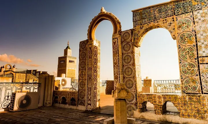 From Hammamet: Carthage, Bardo Museum, Sidi Bou said and Medina