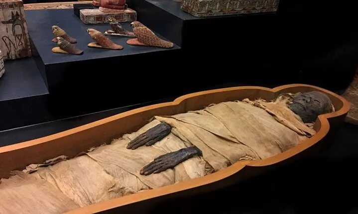 Private Tour Museum & Mummification Museum in Luxor