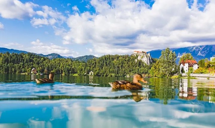 Bled lake, island & castle | Private half day trip from Ljubljana