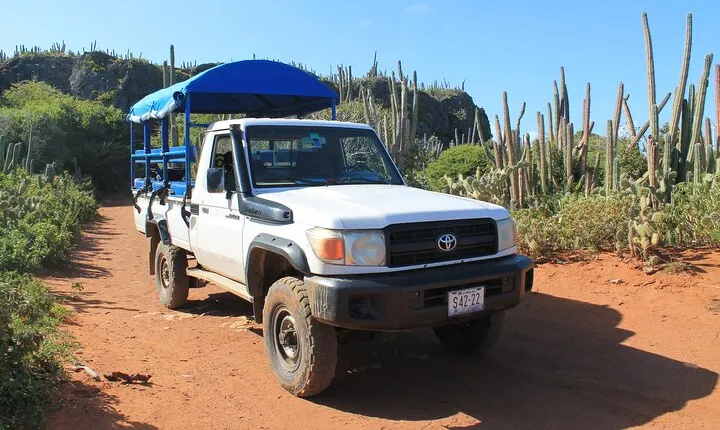 Breath of Curacao Safari