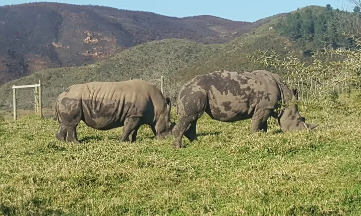 2 Days Garden Route Experience