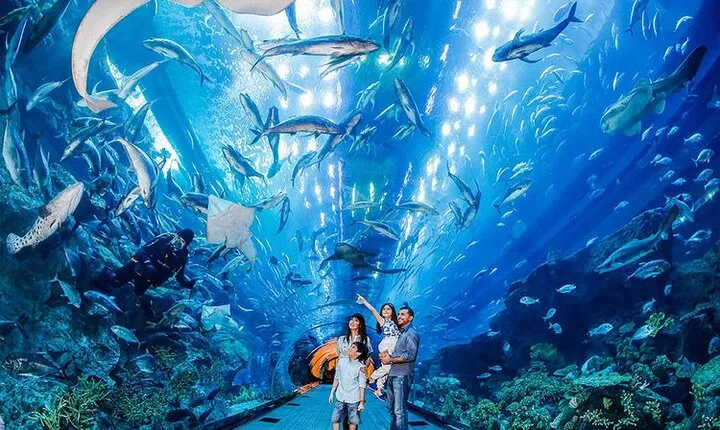 Explorer Admission ticket to Dubai Aquarium and Underwater Zoo