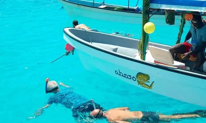 Mnemba Island Snorkeling and Swimming with Dolphin